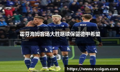 霍芬海姆客场大胜继续保留德甲希望