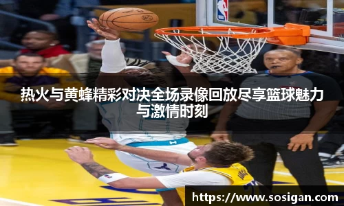 热火与黄蜂精彩对决全场录像回放尽享篮球魅力与激情时刻